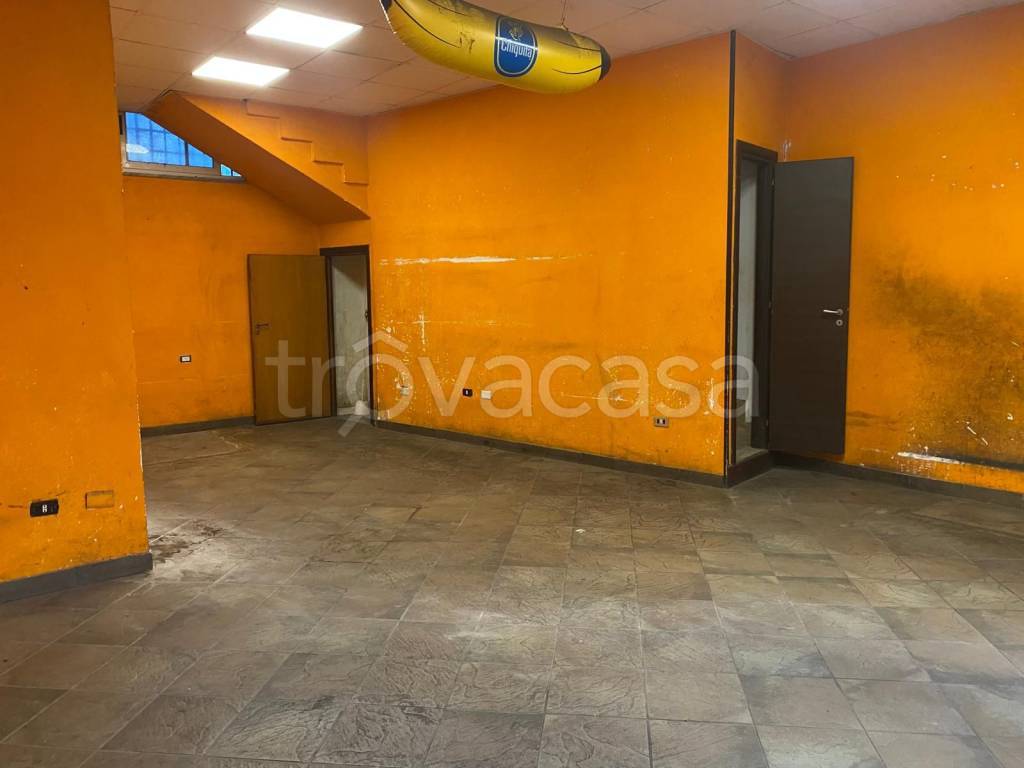 immagine annuncio 4 di 8