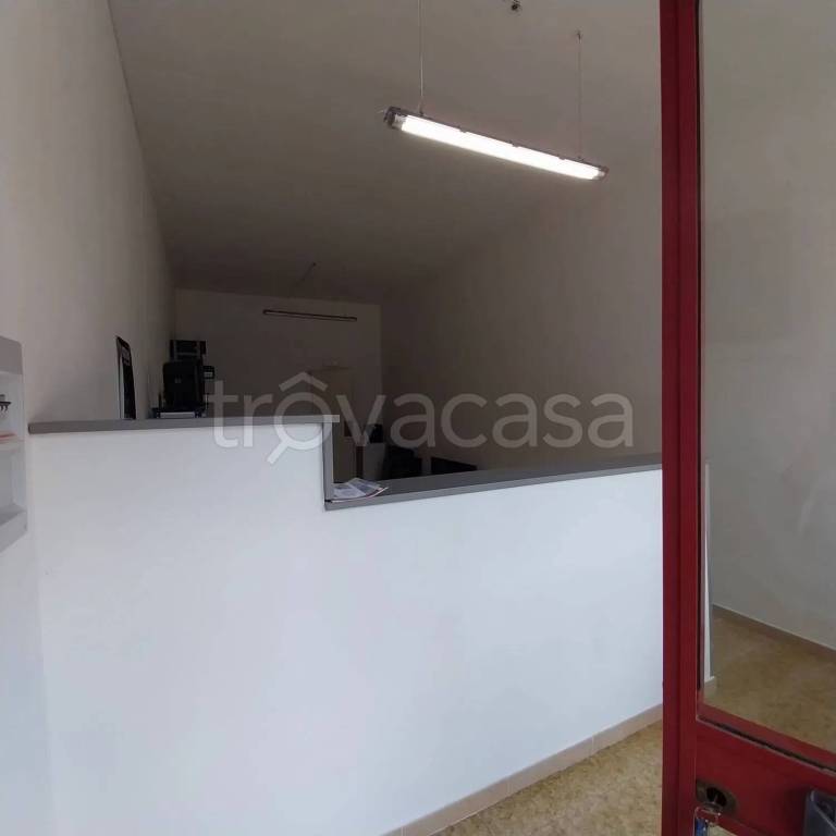 immagine annuncio 2 di 9