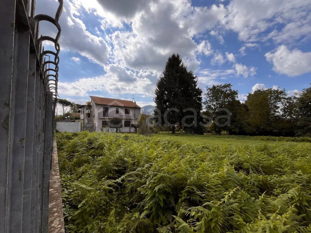 immagine annuncio 1 di 7