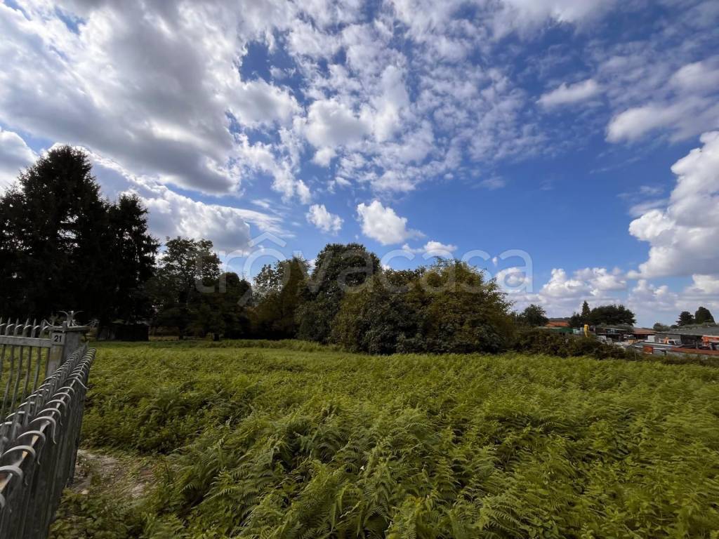 immagine annuncio 2 di 7