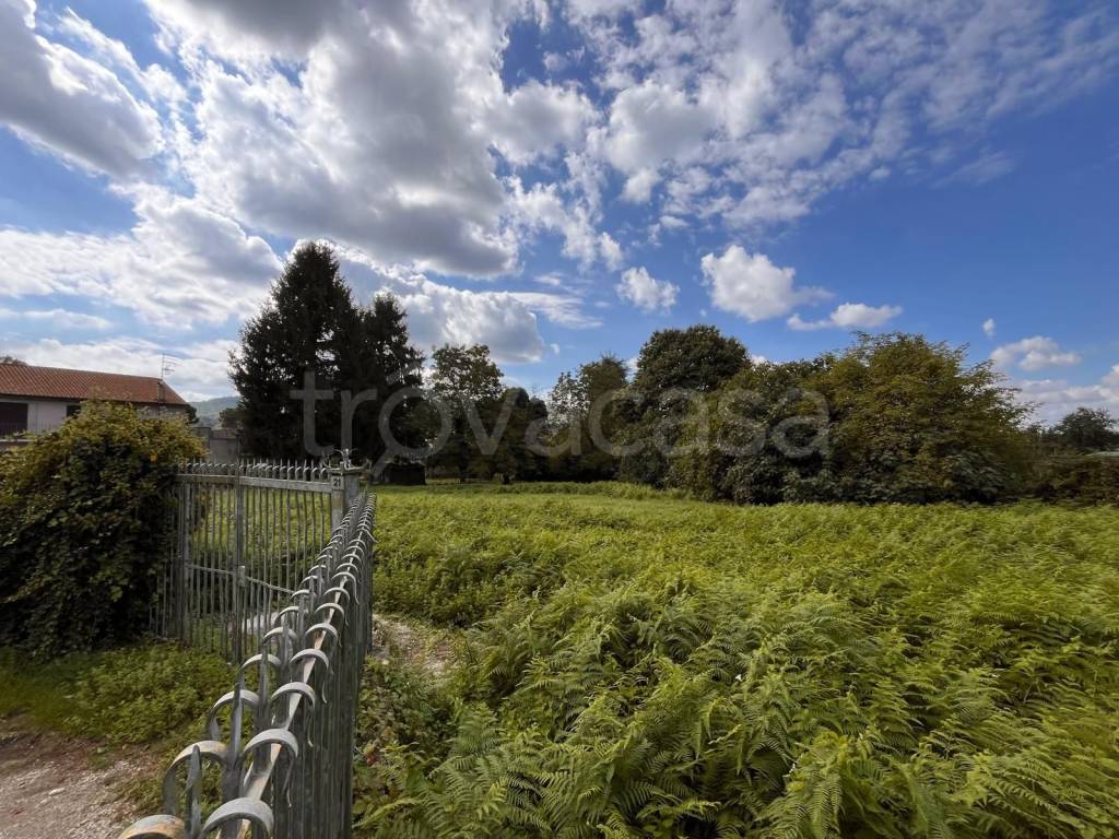 immagine annuncio 3 di 7