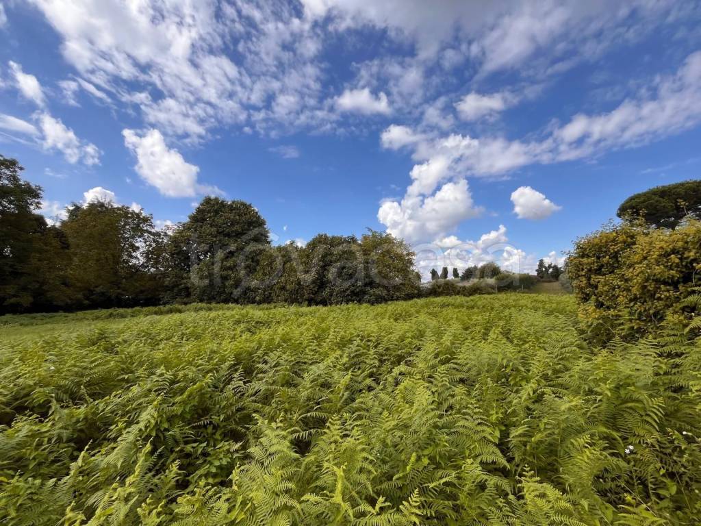 immagine annuncio 4 di 7