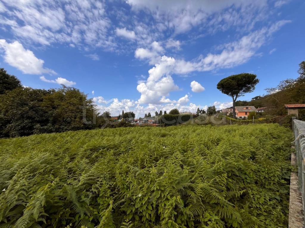 immagine annuncio 5 di 7