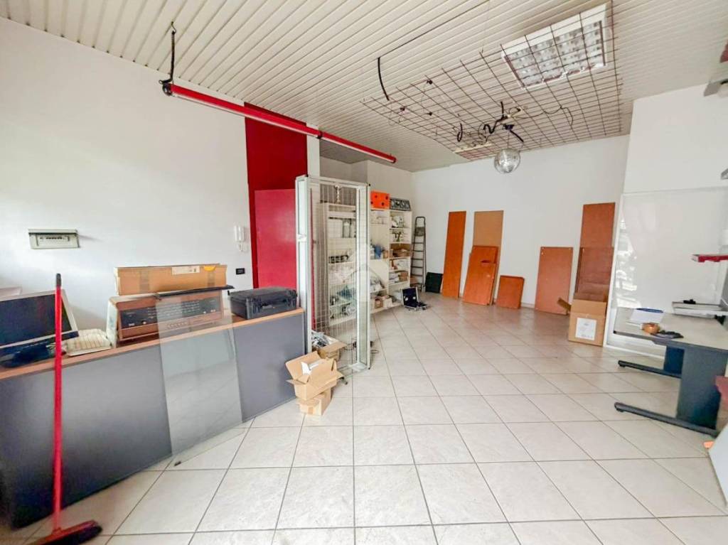 immagine annuncio 4 di 15