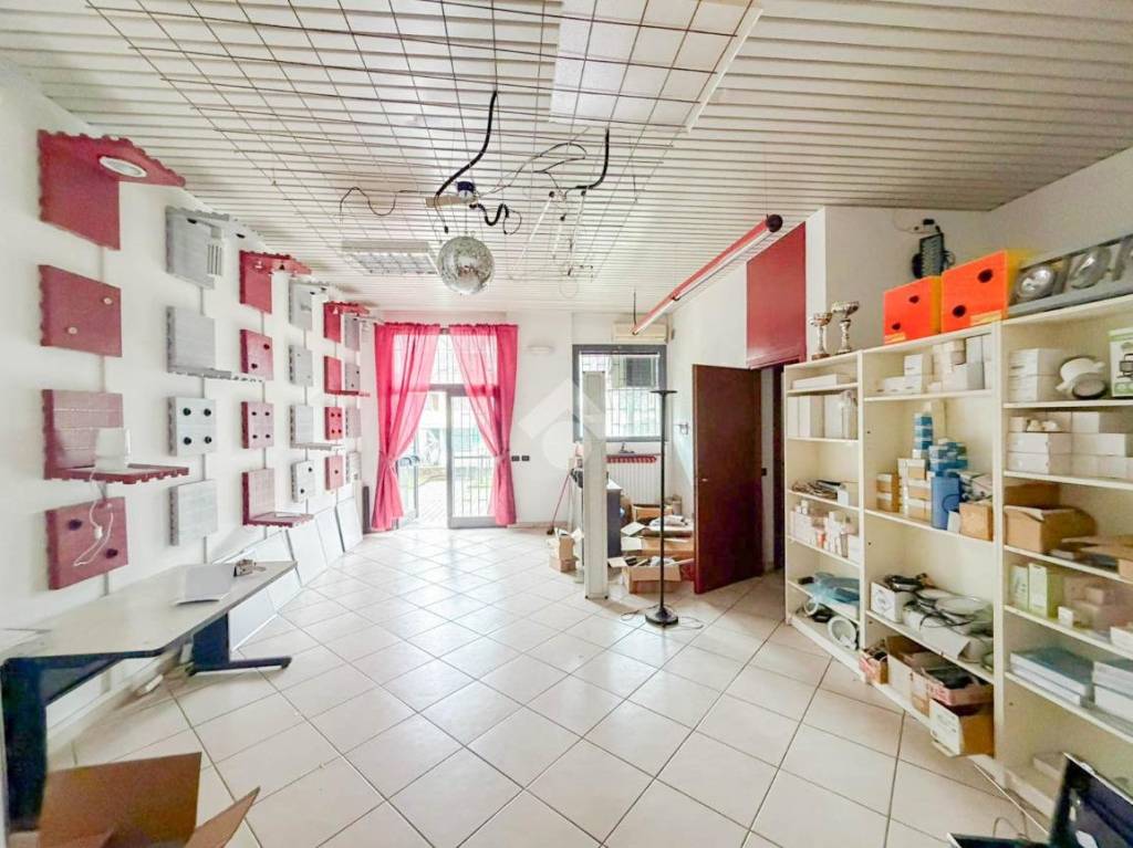 immagine annuncio 9 di 15