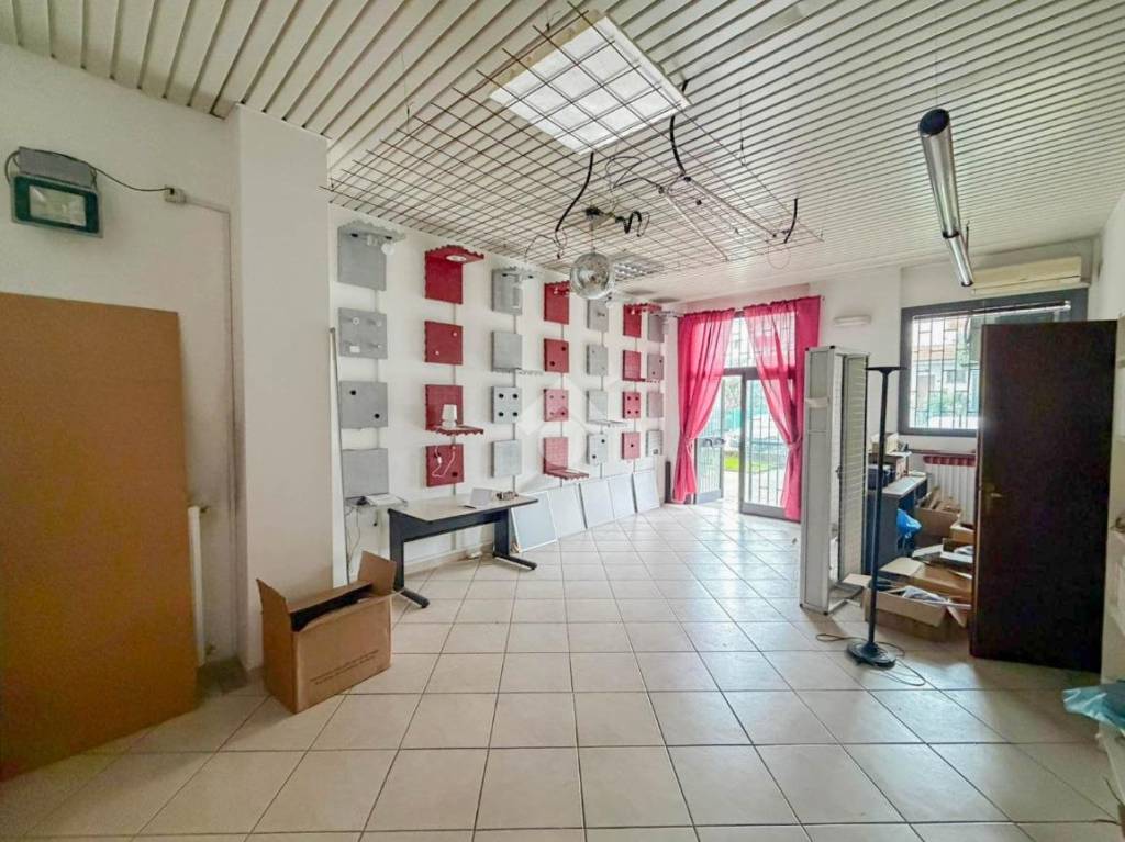 immagine annuncio 11 di 15