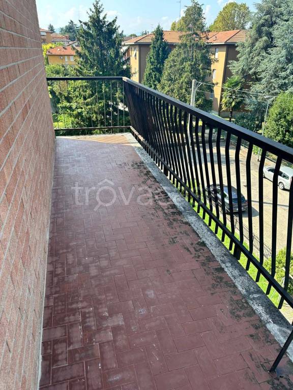 immagine annuncio 11 di 12