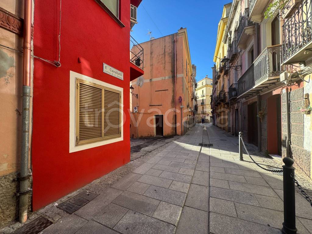 immagine annuncio 1 di 14