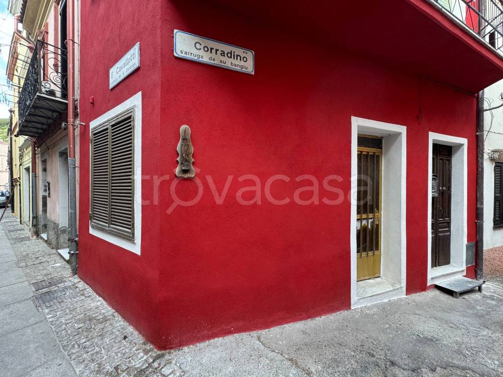 immagine annuncio 12 di 14