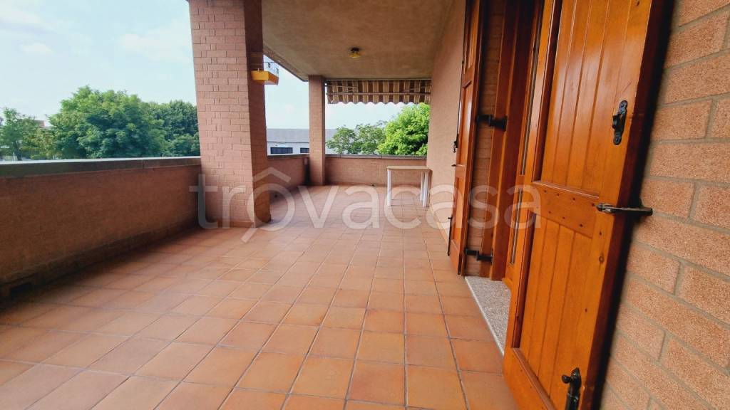 immagine annuncio 6 di 14