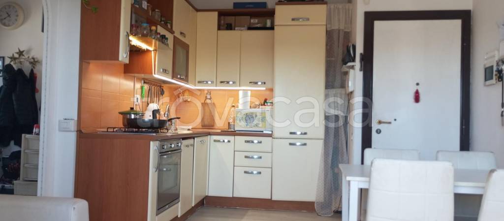 immagine annuncio 7 di 14