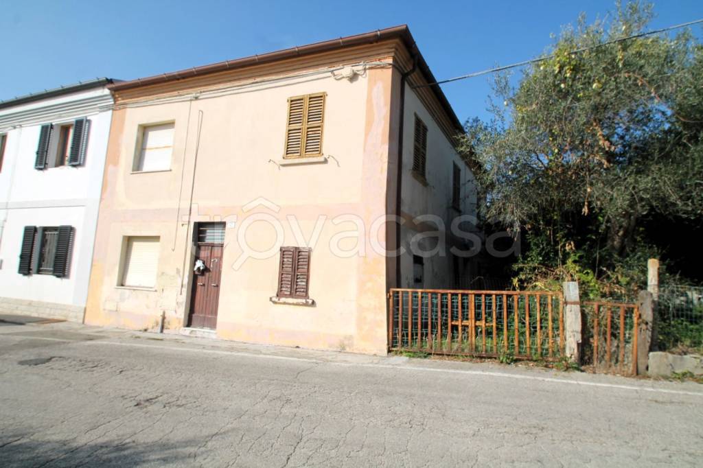 immagine annuncio 7 di 13