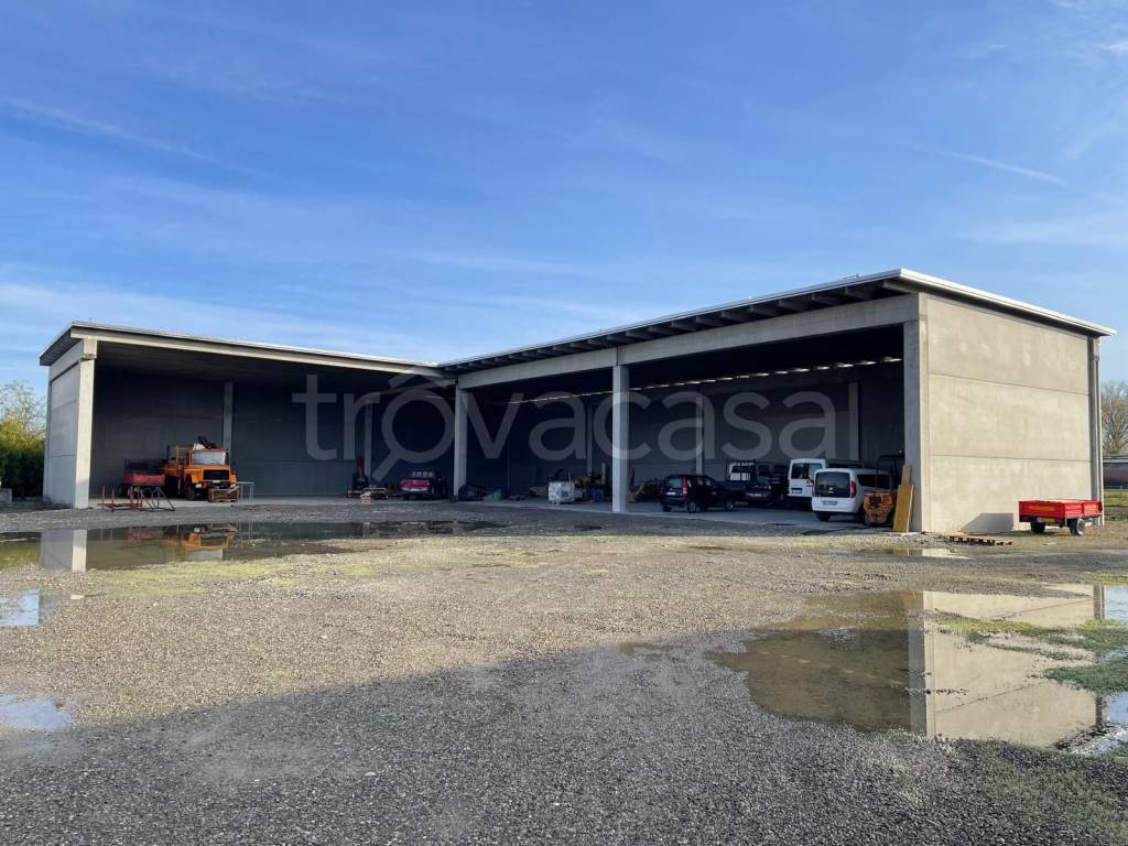 immagine annuncio 2 di 4