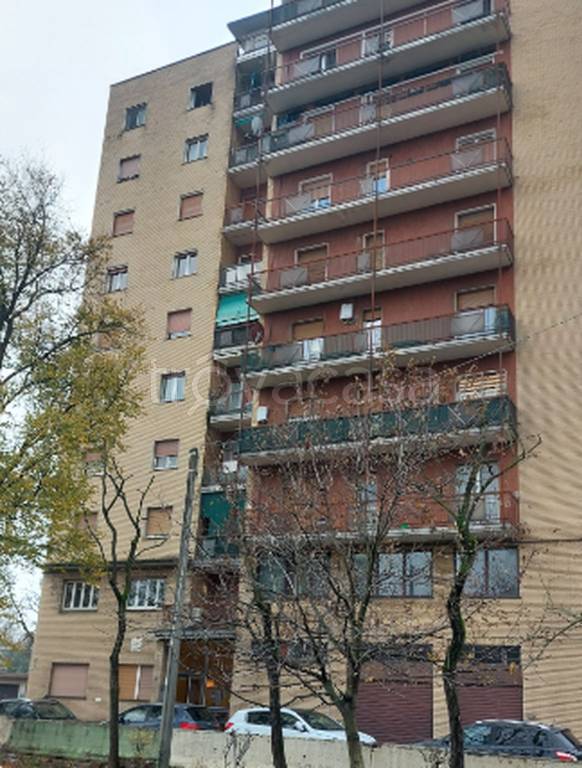 immagine annuncio 1 di 12