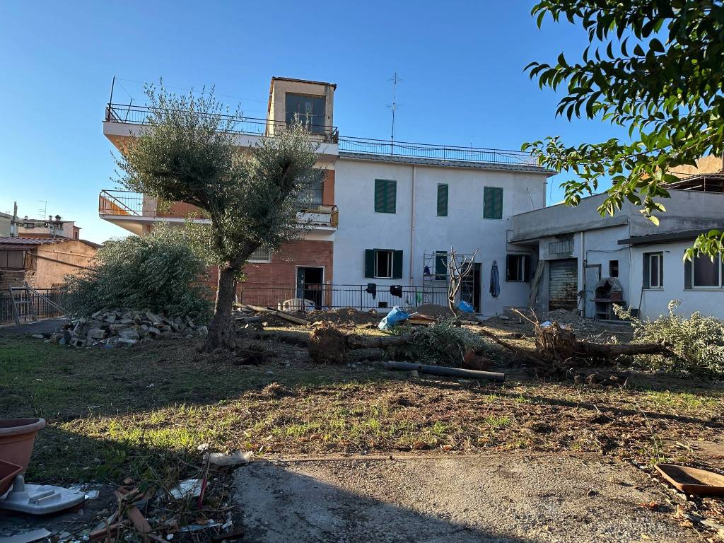 immagine annuncio 2 di 11