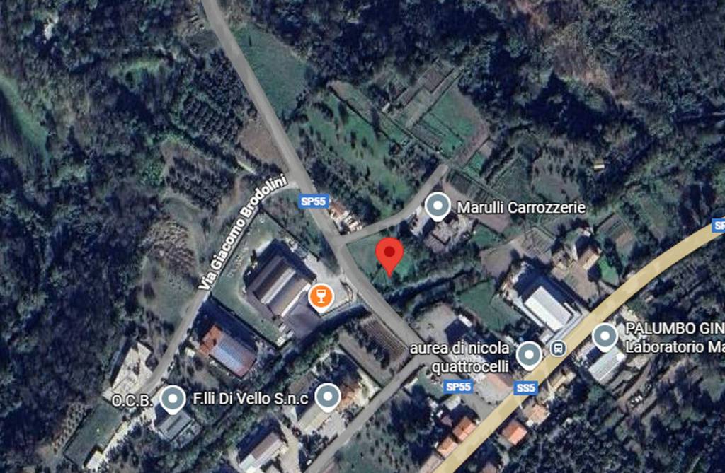 immagine annuncio 3 di 11