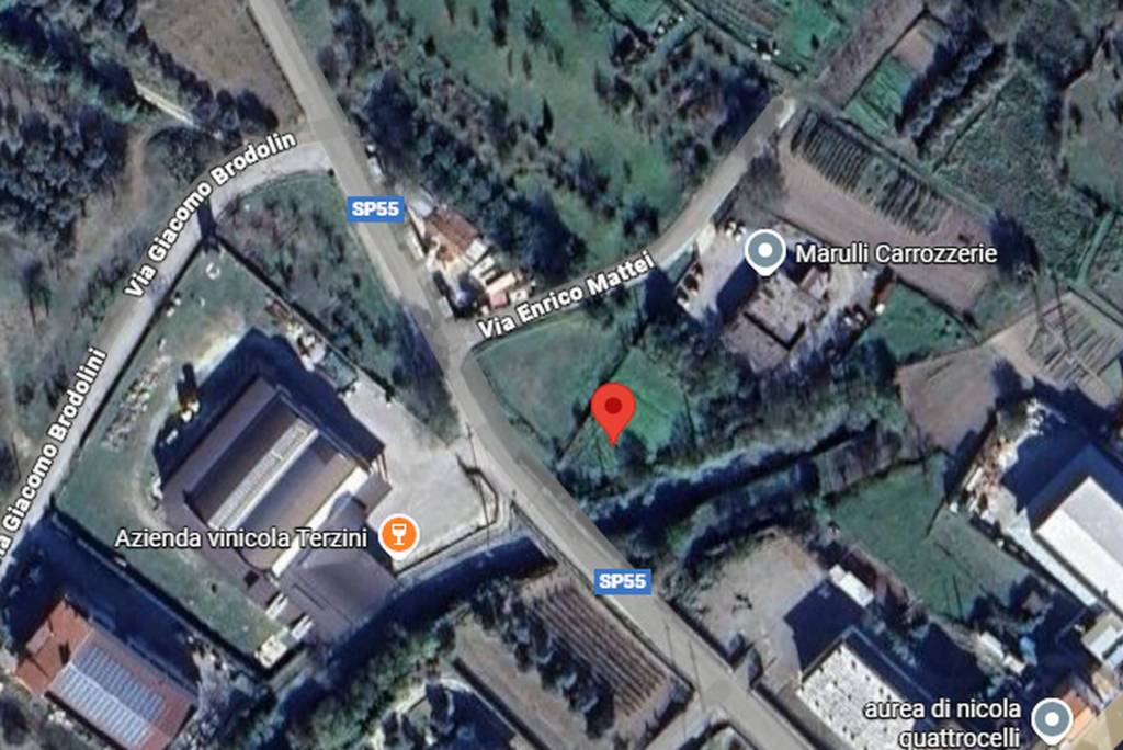 immagine annuncio 5 di 11