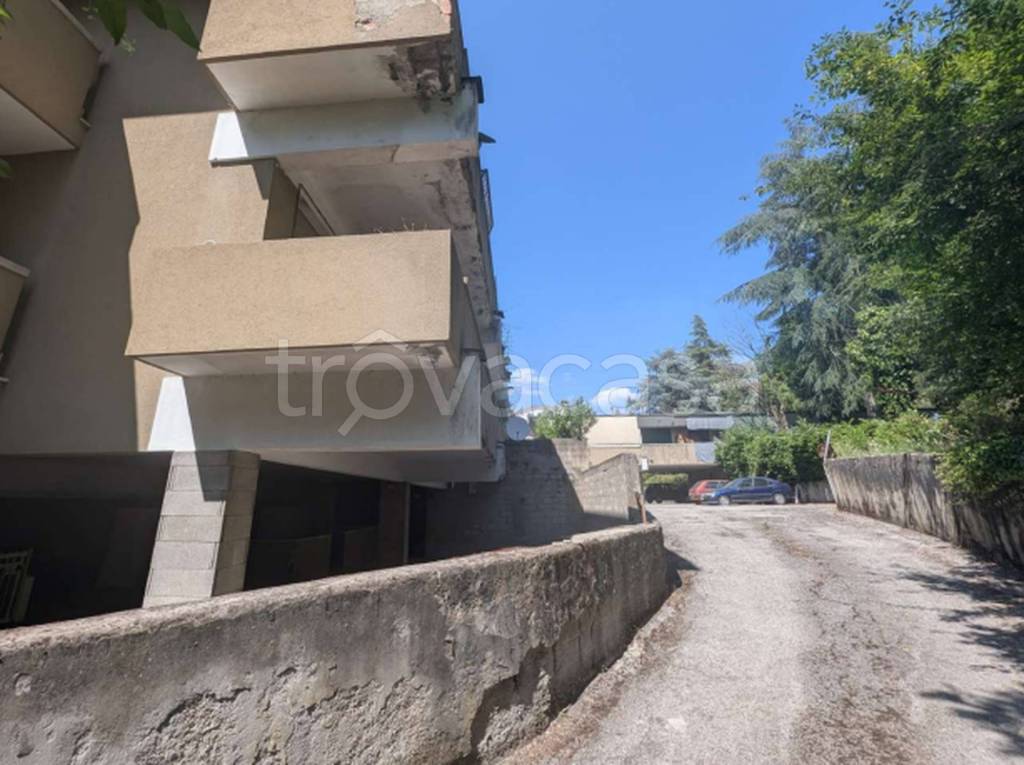 immagine annuncio 4 di 12