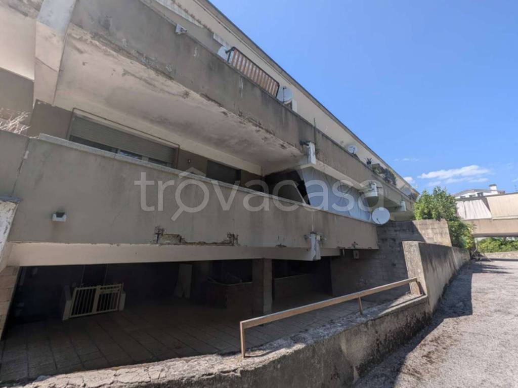 immagine annuncio 6 di 12