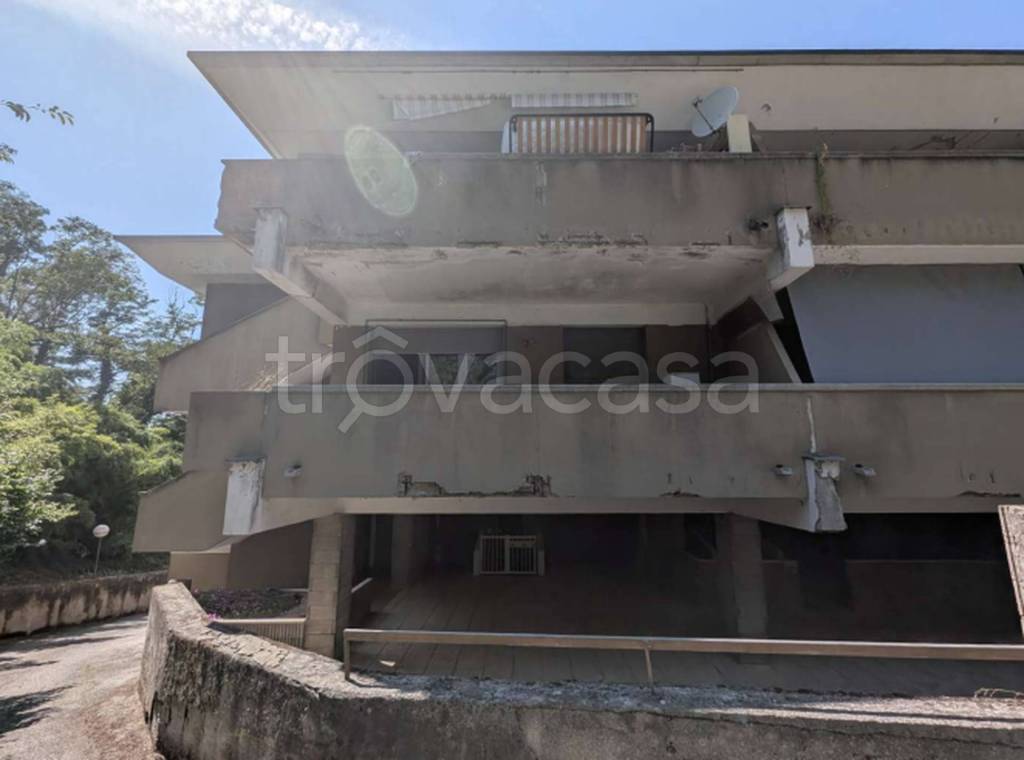 immagine annuncio 7 di 12