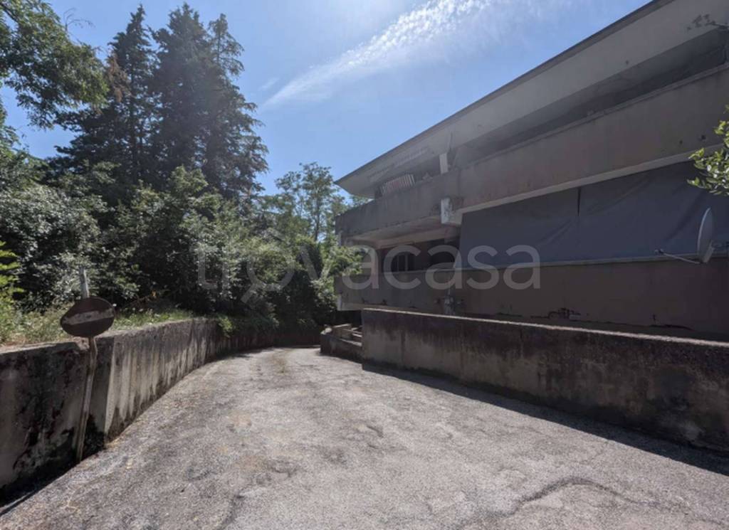 immagine annuncio 8 di 12