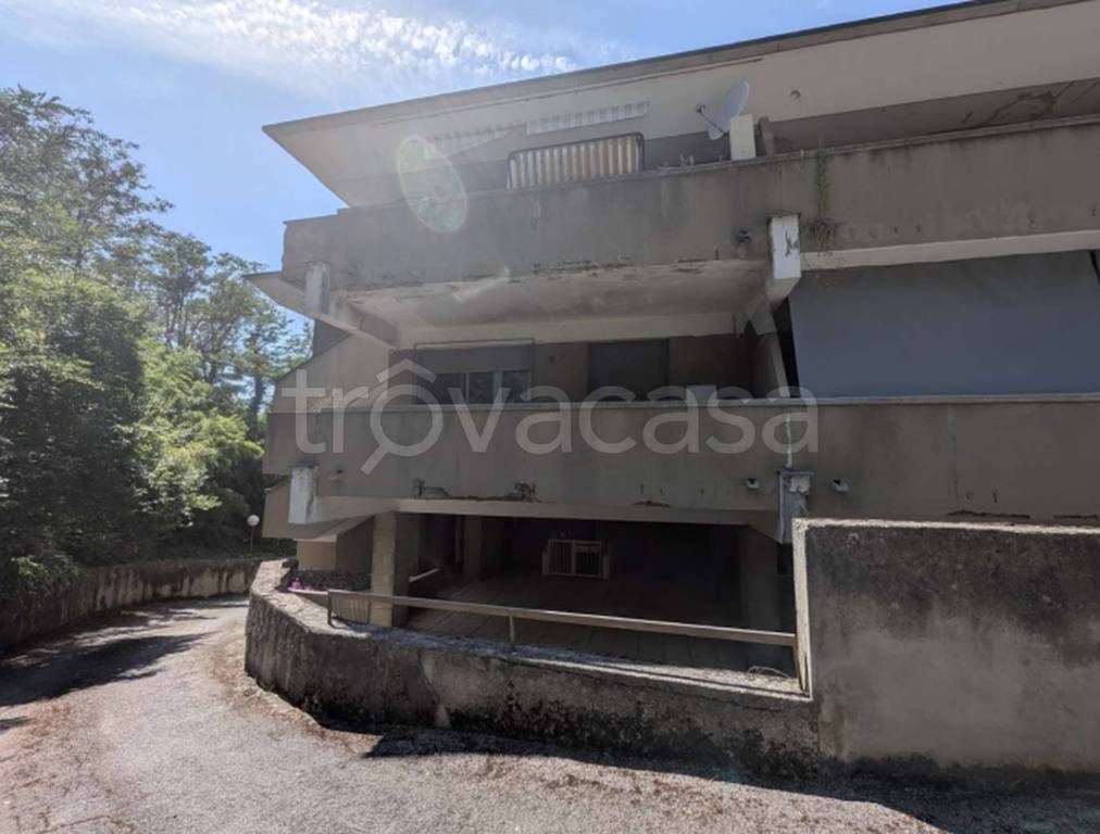 immagine annuncio 11 di 12