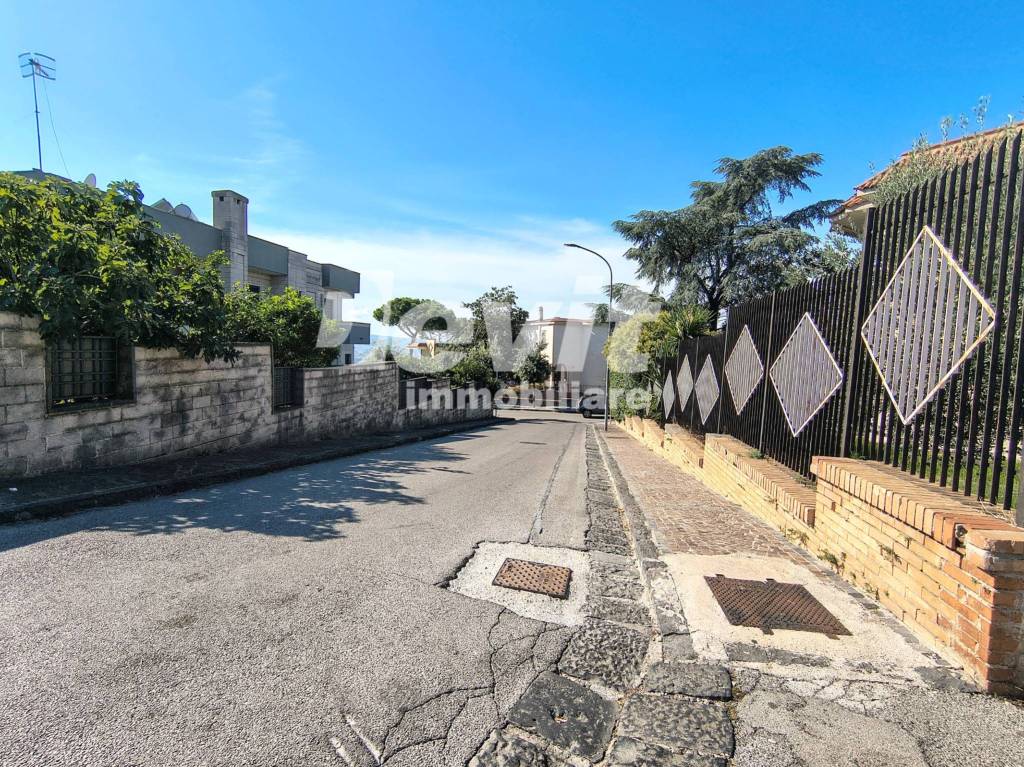 immagine annuncio 13 di 14