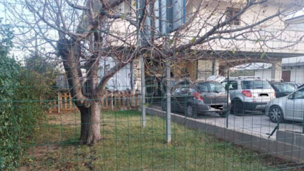 immagine annuncio 5 di 12