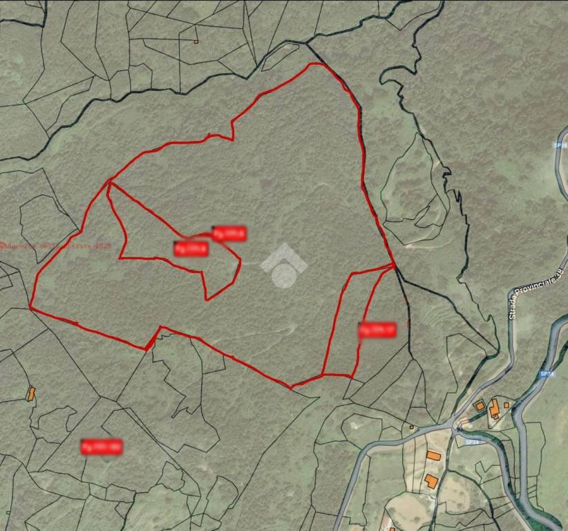 immagine annuncio 10 di 12