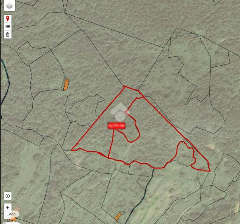 immagine annuncio 11 di 12