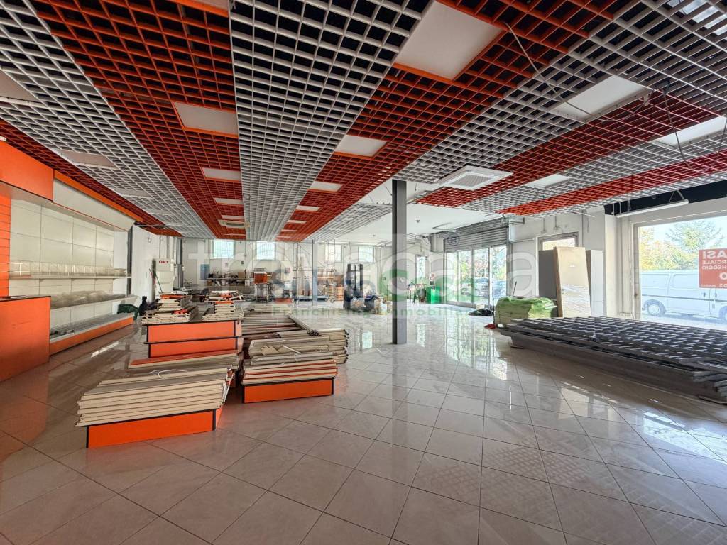 immagine annuncio 9 di 15