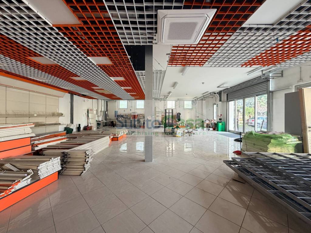 immagine annuncio 10 di 15