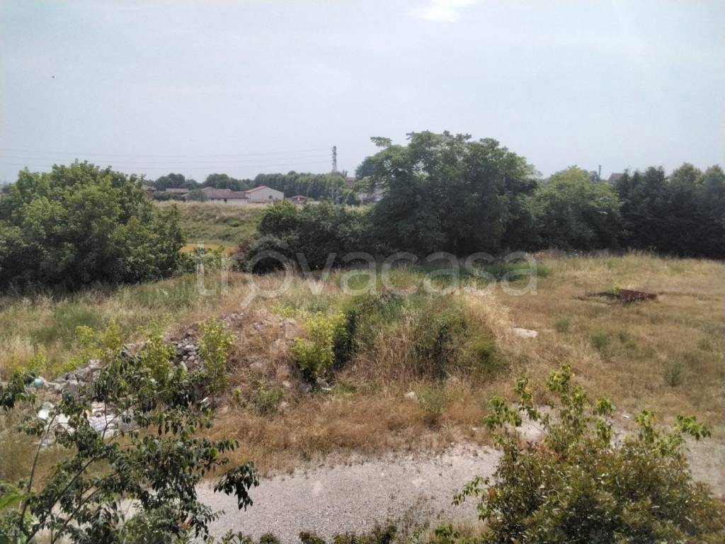 immagine annuncio 3 di 12