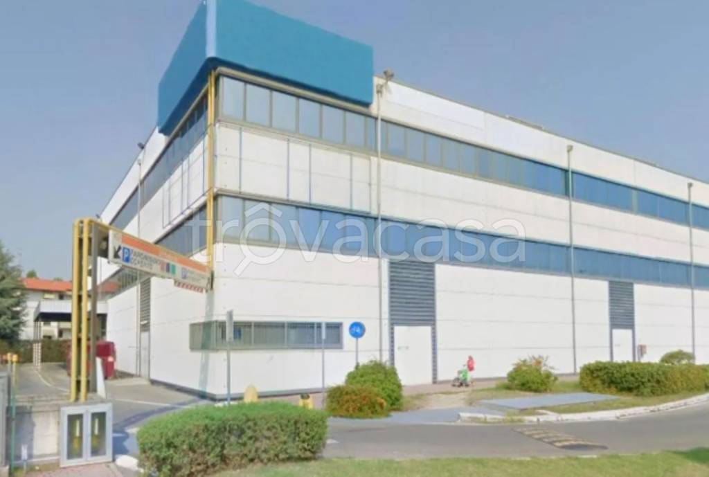 immagine annuncio 3 di 12