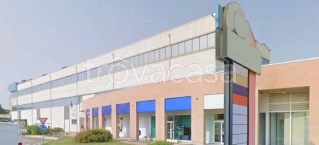 immagine annuncio 11 di 12