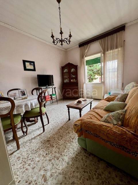 immagine annuncio 2 di 13