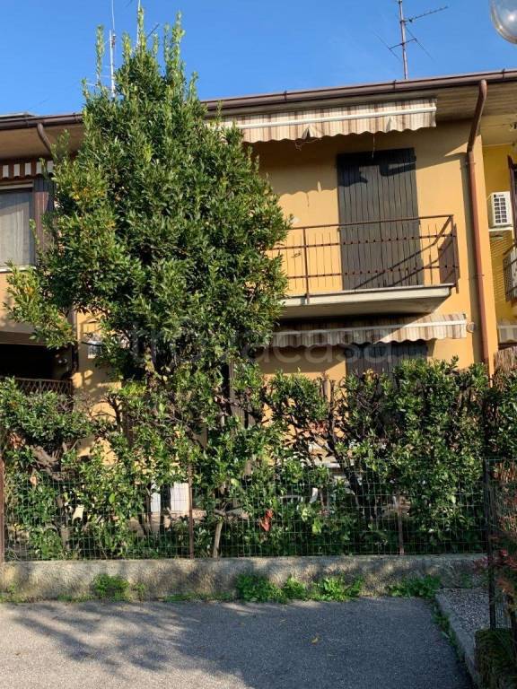 immagine annuncio 1 di 14