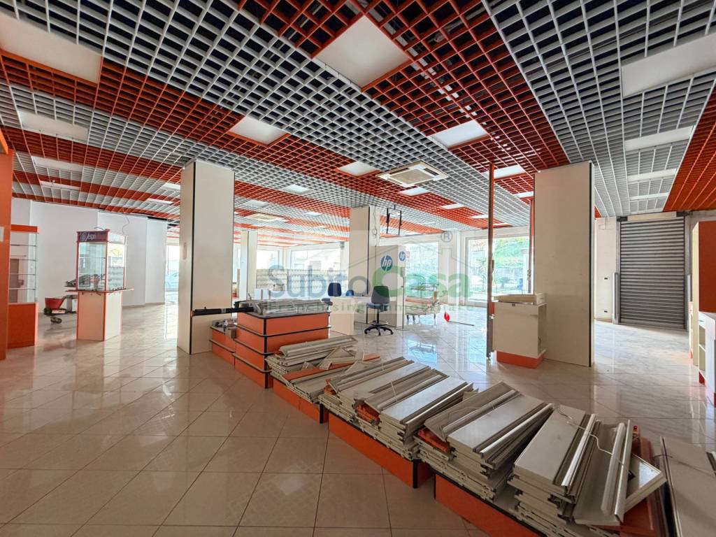 immagine annuncio 8 di 15