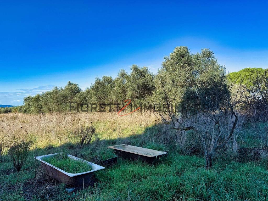 immagine annuncio 10 di 15