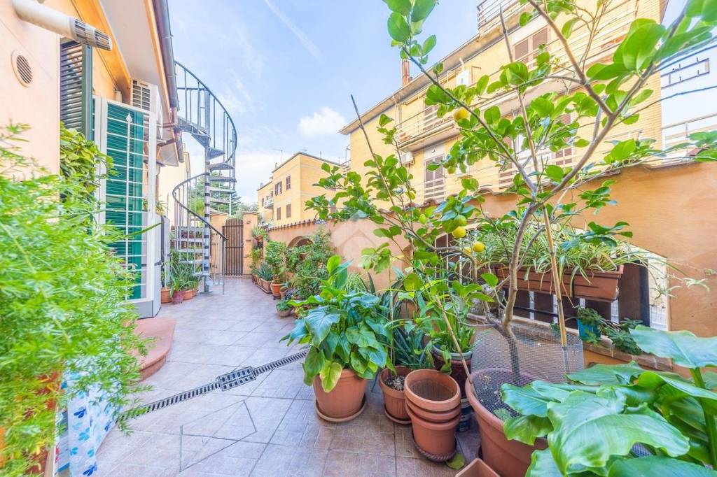 immagine annuncio 9 di 15