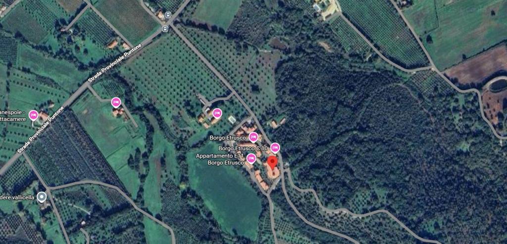 immagine annuncio 9 di 10