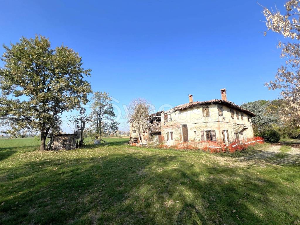 immagine annuncio 3 di 14