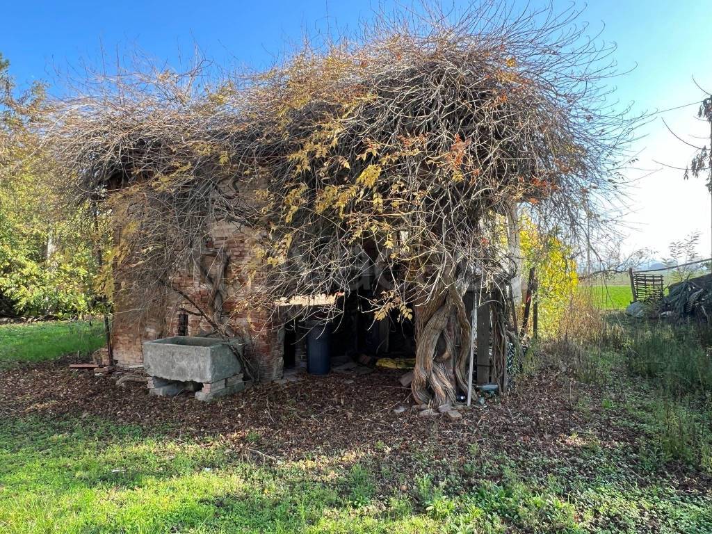 immagine annuncio 9 di 14