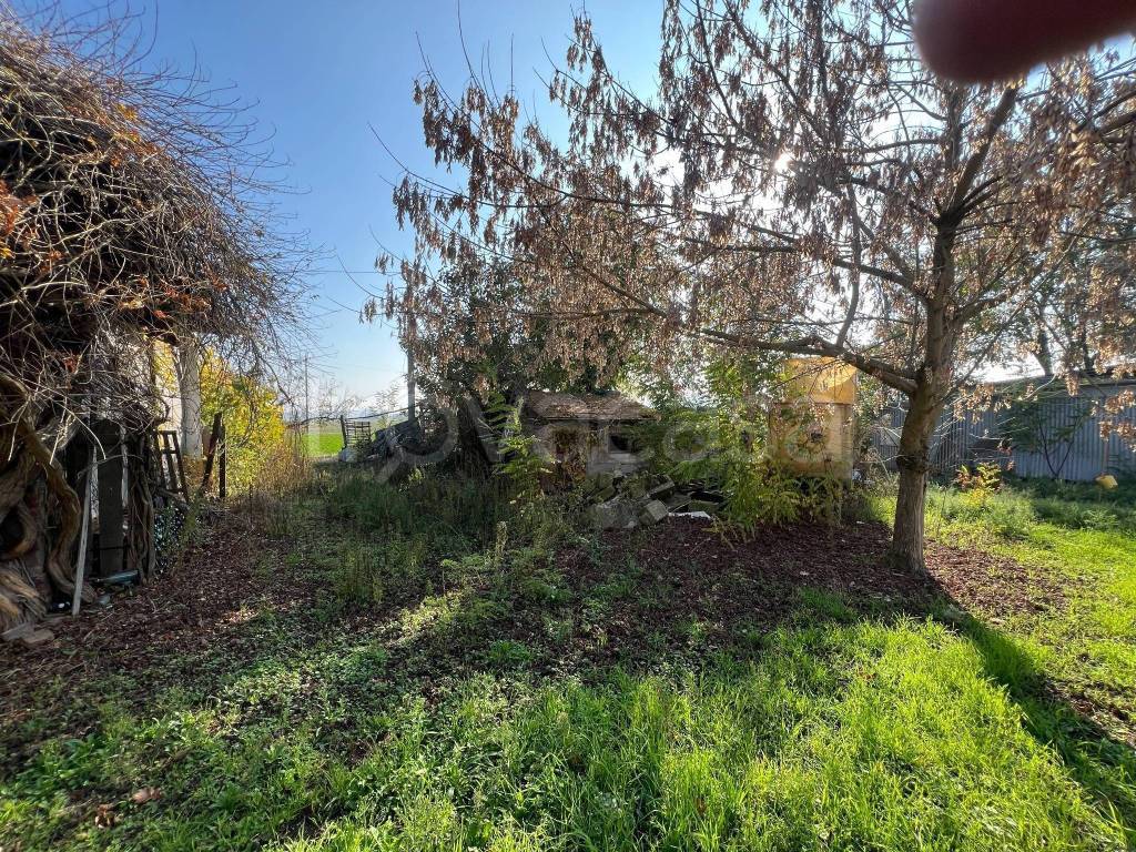 immagine annuncio 10 di 14