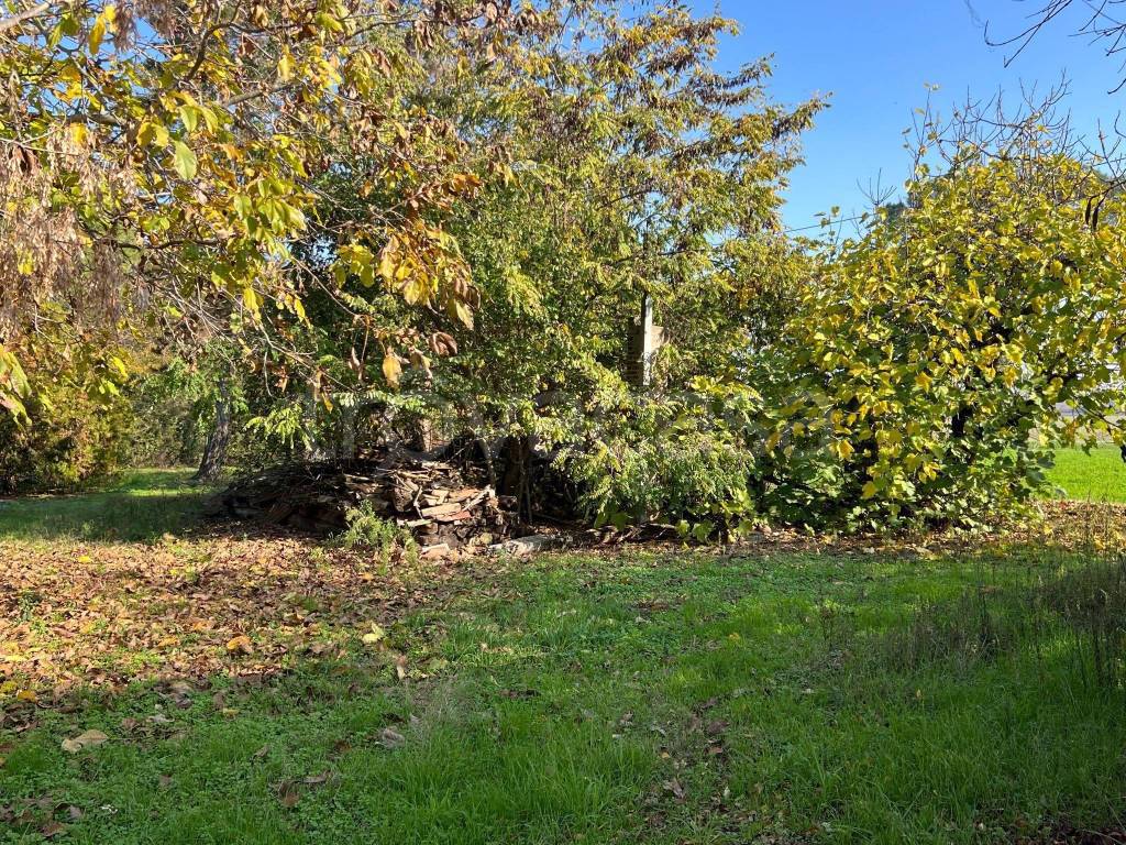 immagine annuncio 12 di 14