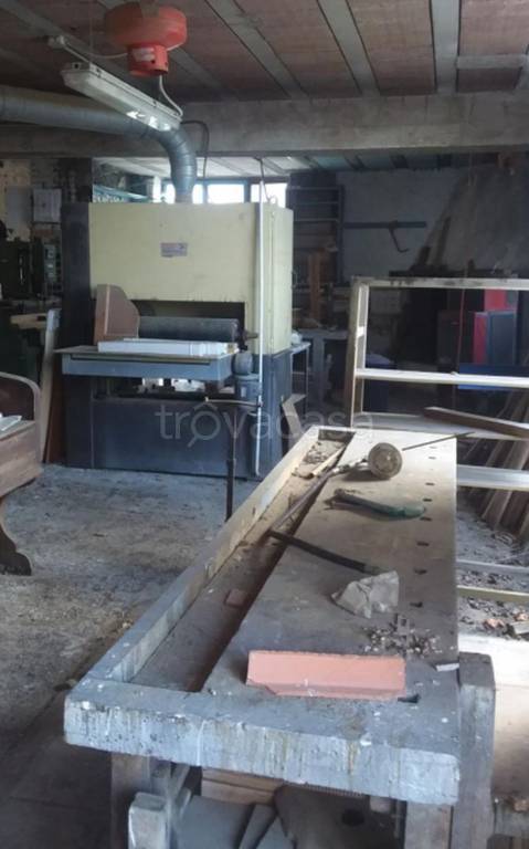 immagine annuncio 3 di 11