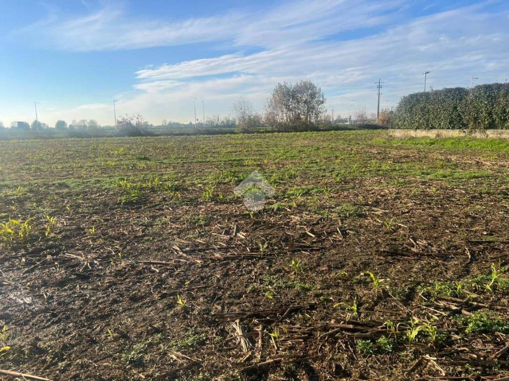 immagine annuncio 3 di 12