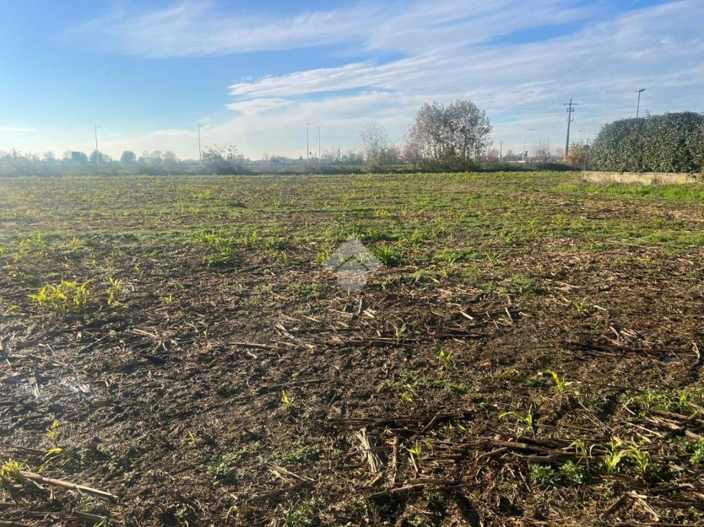 immagine annuncio 6 di 12