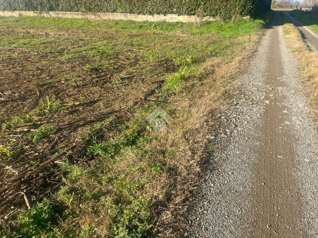 immagine annuncio 10 di 12