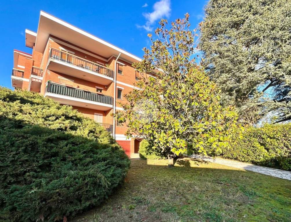 immagine annuncio 1 di 12